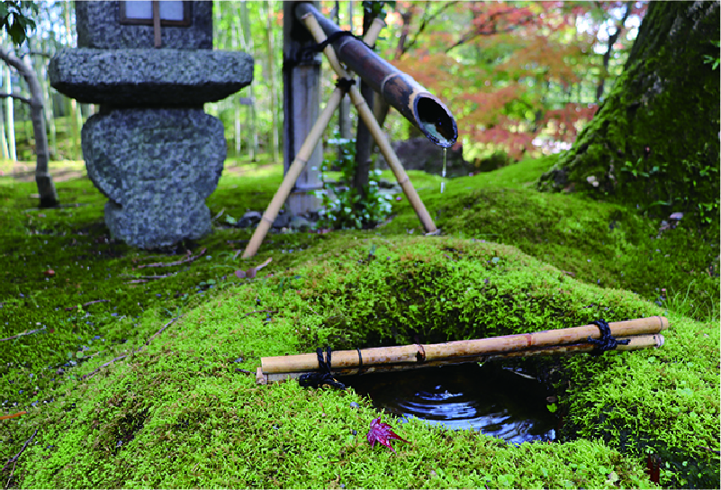 A 400year old Japanese Garden