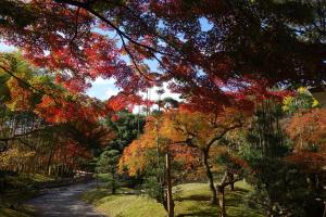 Yawata:Shokado Japanese Garden②