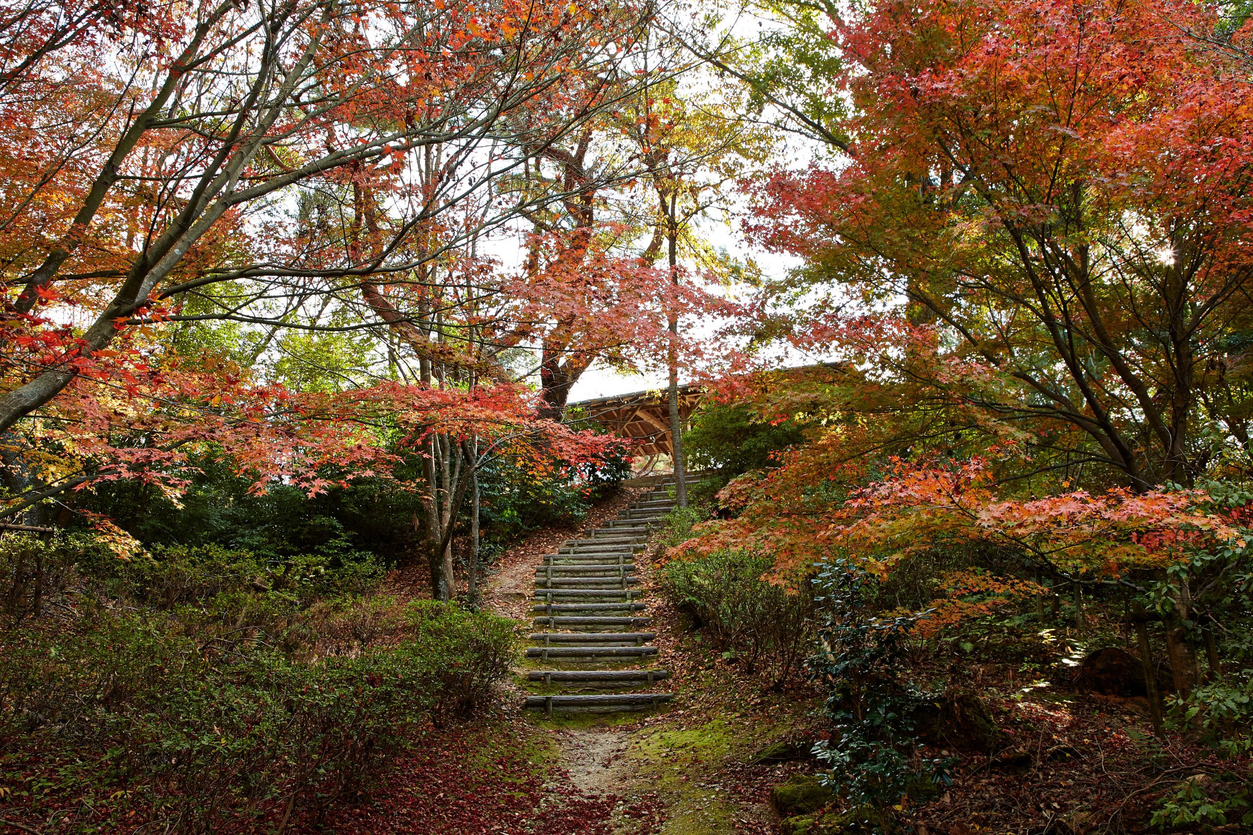 Joyo:Konosuyama Walking Path