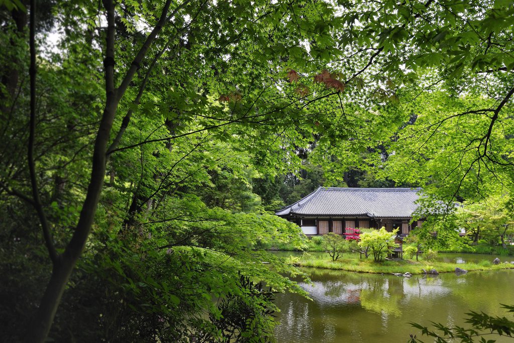 Minami Yamashiro Old Temple Pilgrimage tour