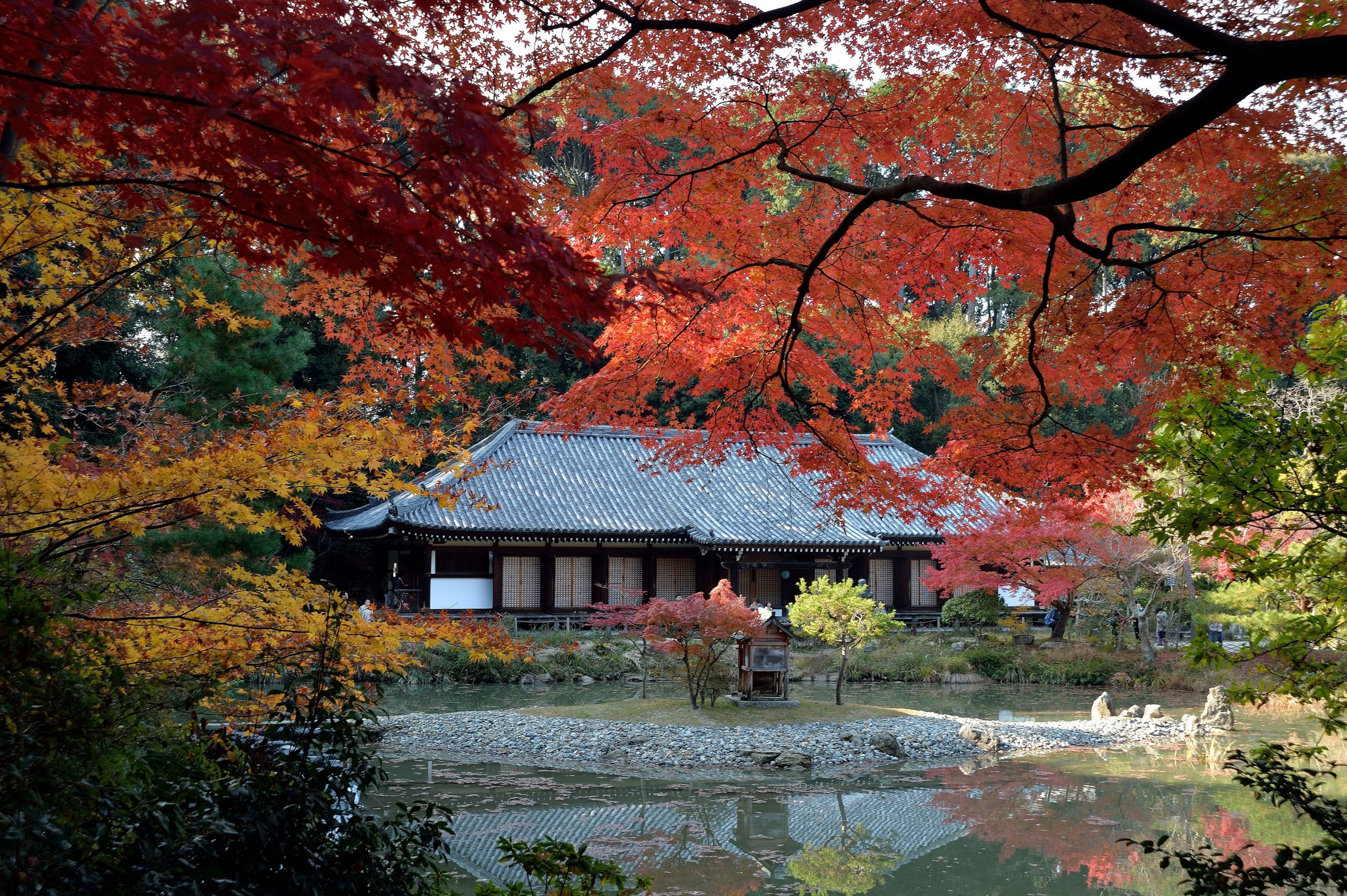 Kizugawa:Jyoruriji Temple. Autumn