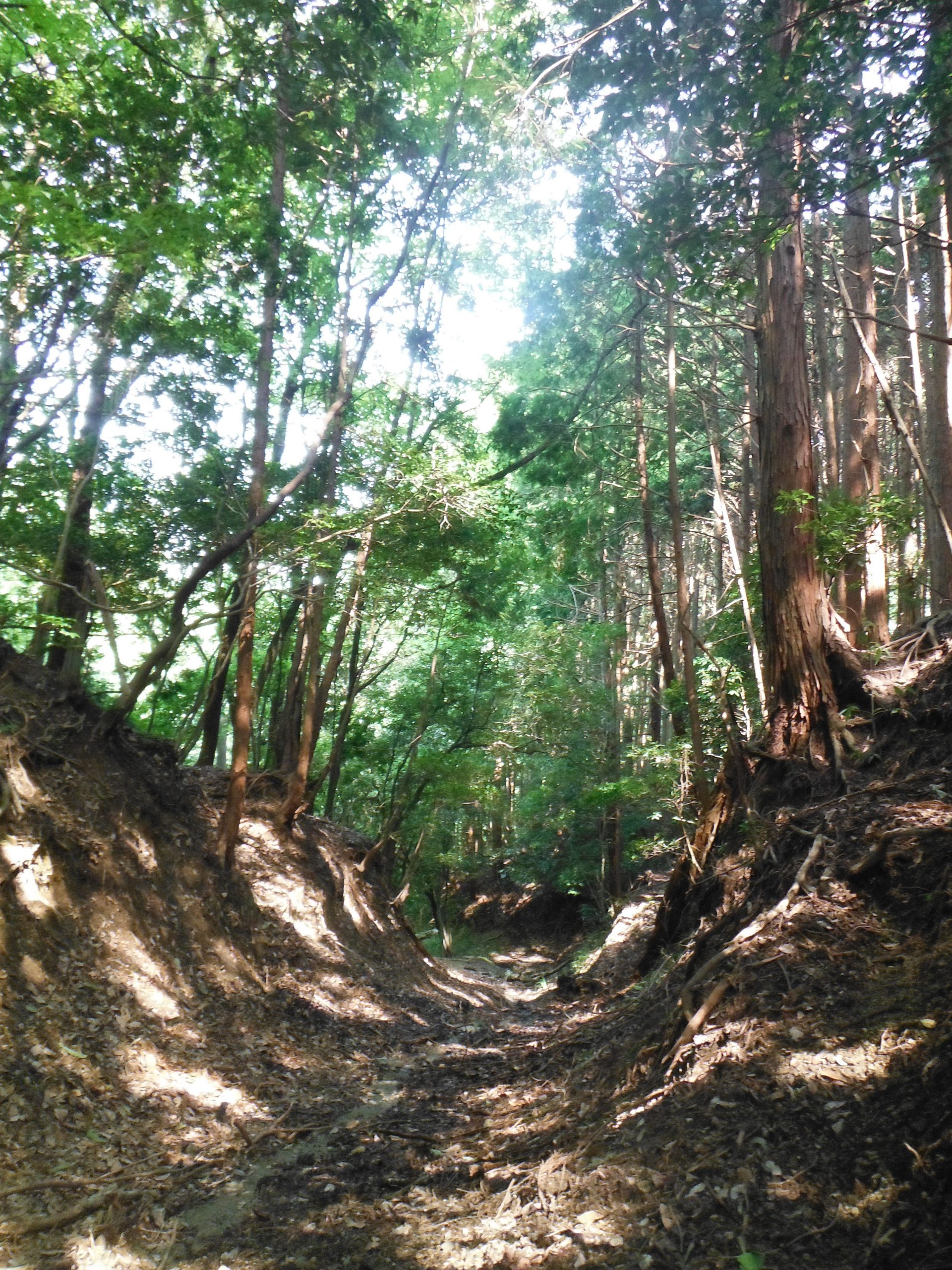 Ujitawara:Matsutoge(Ancient Trail)
