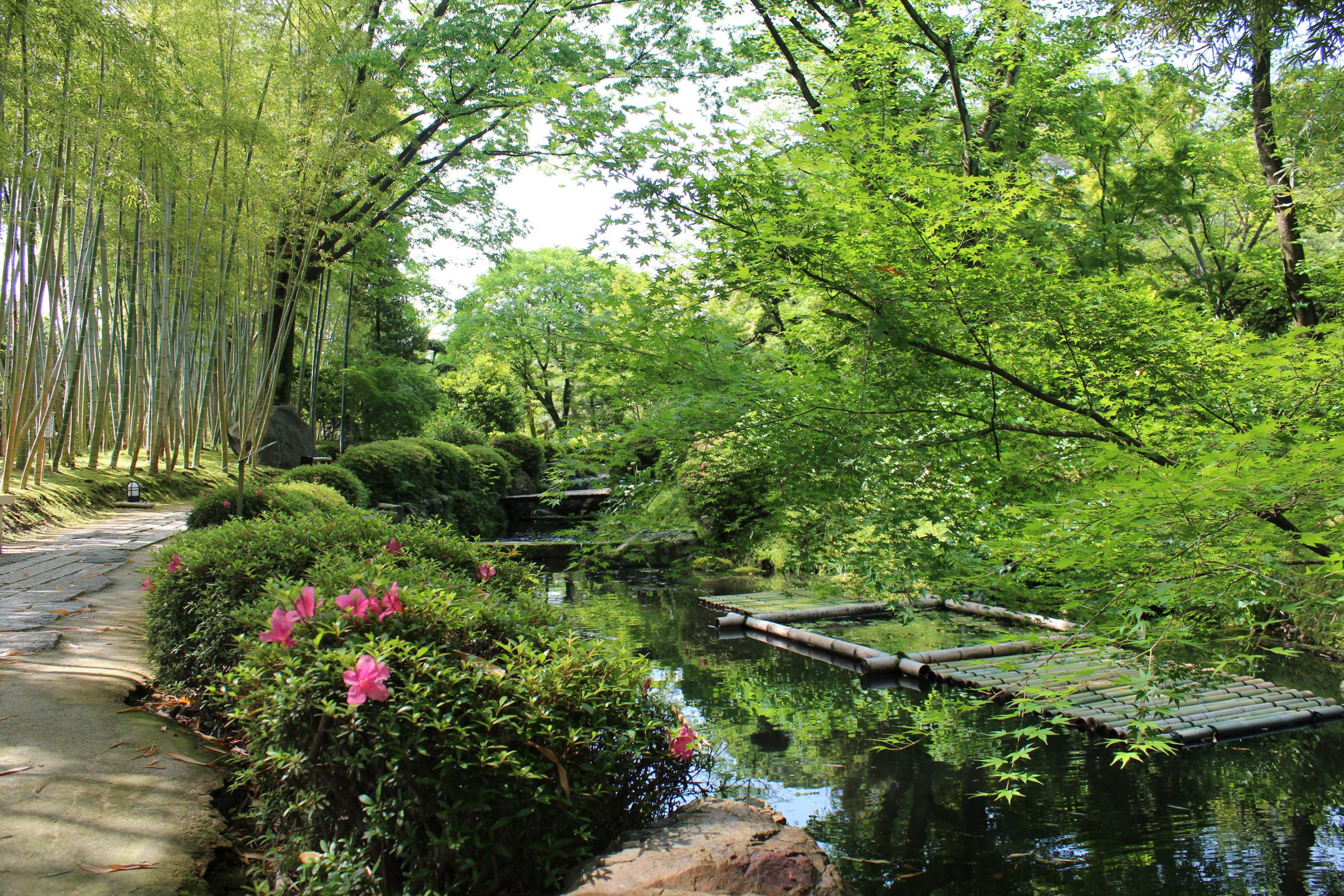 Yawata:Shokado Japanese Garden.Summer②