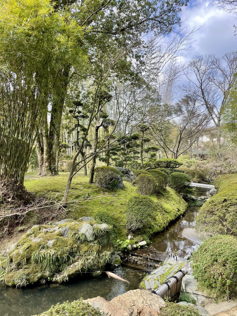 Enjoy strolling around a spacious Japanese garden and appreciate Shokado Bento boxed meal at an elegant restaurant.