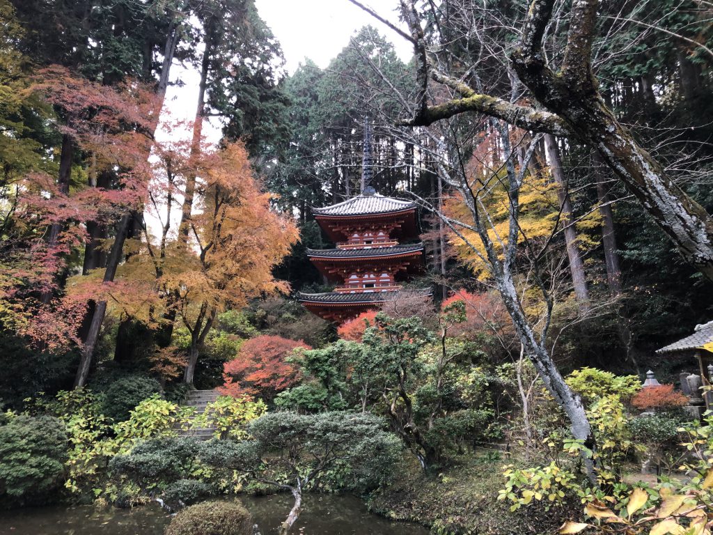 A secluded temple with a lot of charms: Gansenji