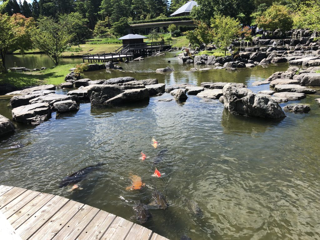 Enjoy a gorgeous and casual Japanese Garden!