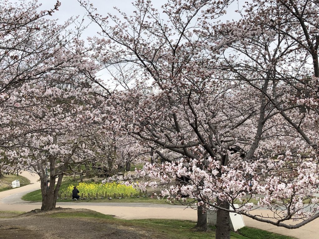  Keihanna Memorial Park