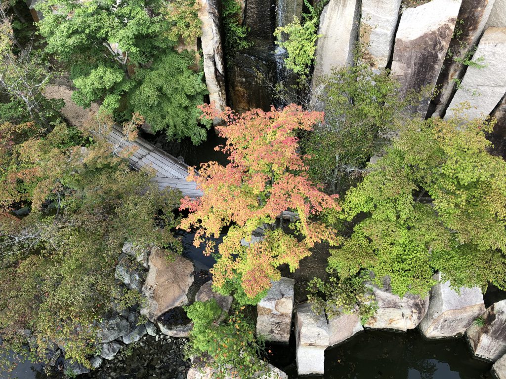  Keihanna Memorial Park