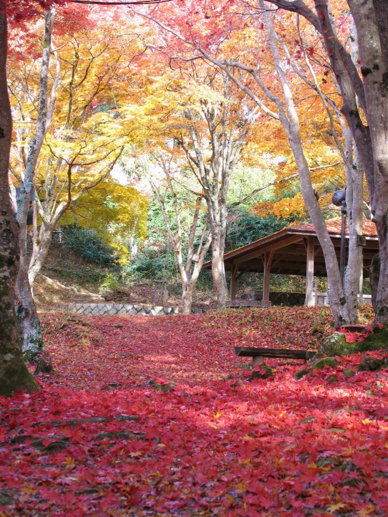 Kasagi-dera Temple
Mt. Kasagi