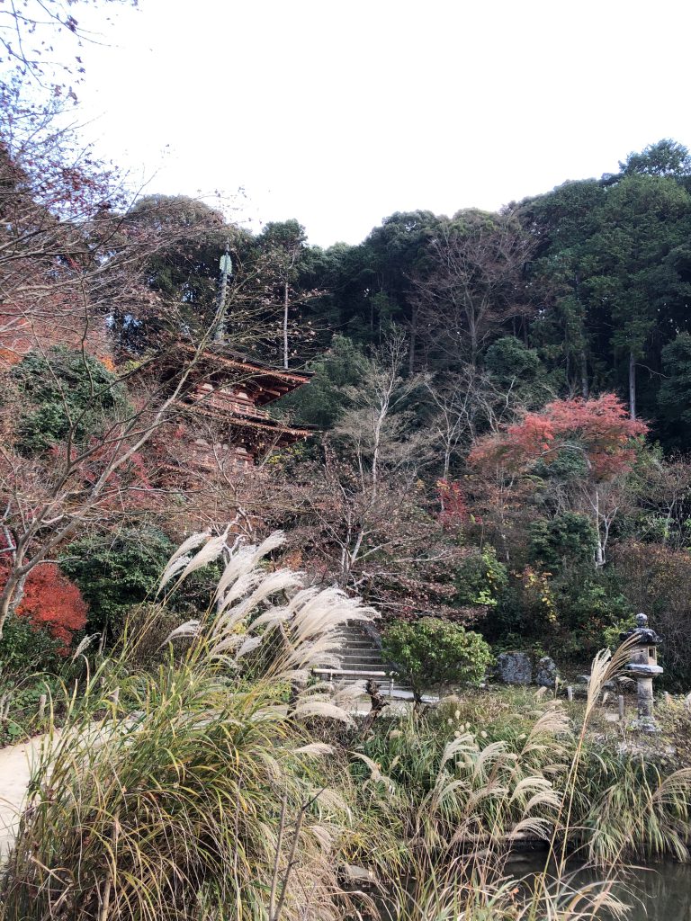 Joruri-ji Temple