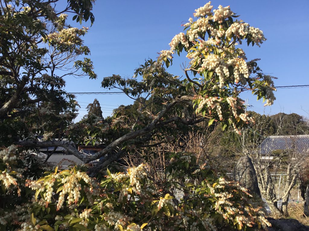 Joruri-ji Temple