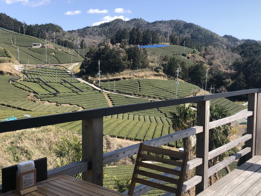 Ishitera Tea fields