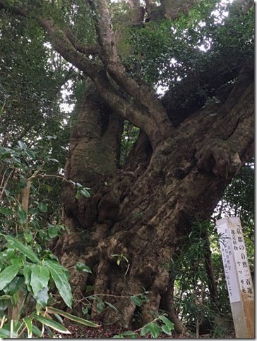 Kaijusen-ji